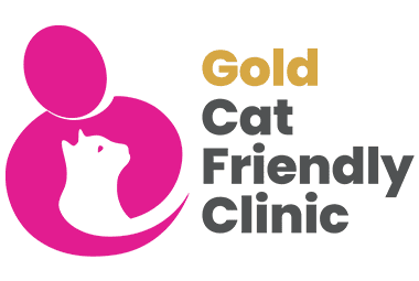 CFC Gold logo for clinics